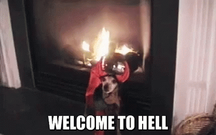 Welcome to hell dog