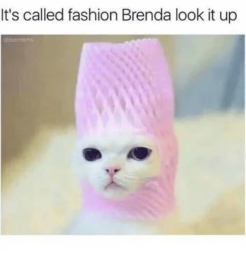 it&#39;s called fashion Brenda look it up