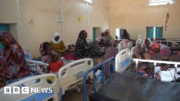 Sudan conflict: Two children killed as bomb falls near Darfur hospital - MSF
