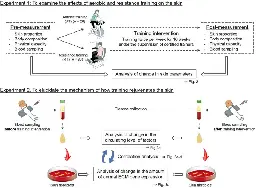 Resistance training rejuvenates aging skin by reducing circulating inflammatory factors and enhancing dermal extracellular matrices - Scientific Reports