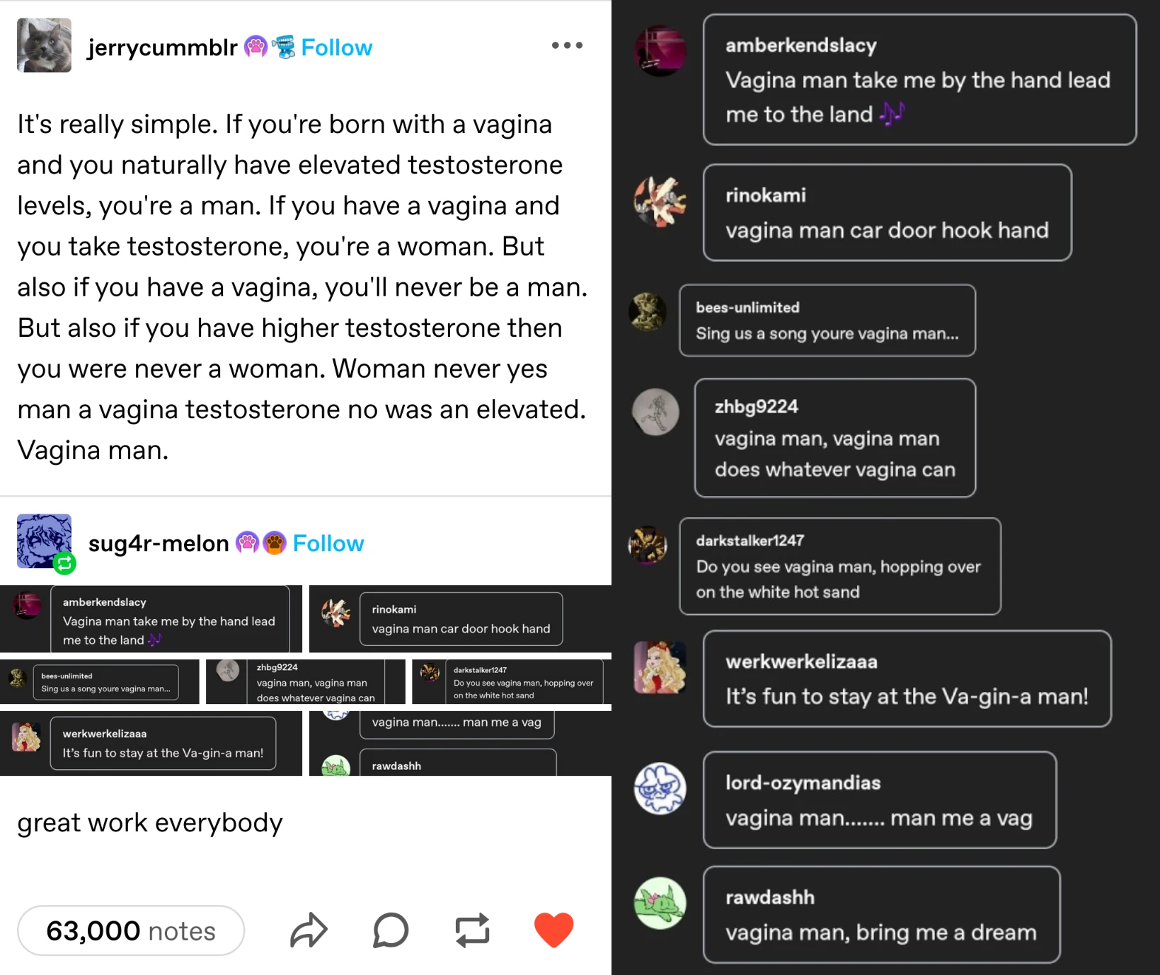 Tumblr post by jerrycummblr reading "It's really simple. If you're born with a vagina and you naturally have elevated testosterone levels, you're a man. If you have a vagina and you take testosterone, you're a woman. But  also if you have a vagina, you'll never be a man.  But also if you have higher testosterone then you were never a woman. Woman never yes man a vagina testosterone no was an elevated. Vagina man." A reblog by sug4r-melon adds several screenshots from the replies and says "great work everybody". The replies are: amberkendslacy: "Vagina man take me by the hand lead me to the land [music note emoji]" rinokami: "vagina man car door hook hand" bees-unlimited: "sing us a song you're vagina man..." zhbg9224: "vagina man, vagina man does whatever vagina can" darkstalker1247: "do you see vagina man, hopping over on the white hot sand" werkwerkelizaaa: "It's fun to stay at the Va-gin-a man!" lord-ozymandias: "vagina man...... man me a vag" rawdashh: "vagina man, bring me a dream"