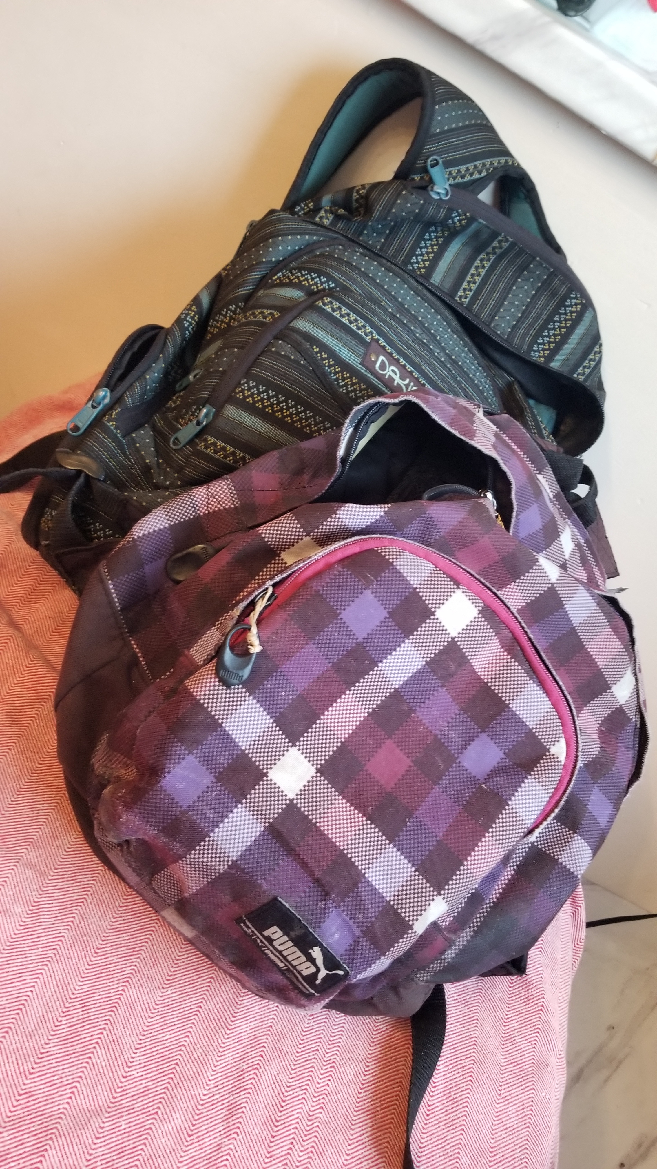 Backpack Repair Update: One Year Later