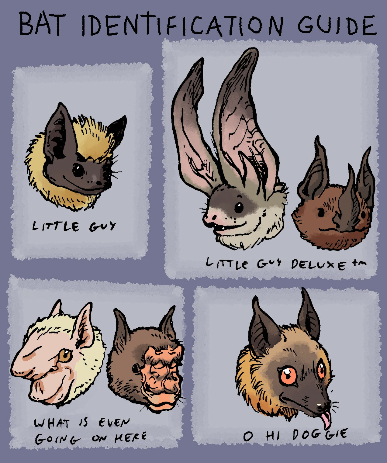 Illustrated image divided into four panels, each showing a head of a bat with a text label. Top left: little guy, a regular looking back with a dark face and light colored fur, top right: little guy deluxe, a bat with a mask and large ears alongside a bat with a leaf shaped nose, bottom left: what is even going on here, a visored bat with a large forehead next to a bat with a large, wrinkly nose, bottom right: o hi doggie, a fruit bat with its tongue sticking out.