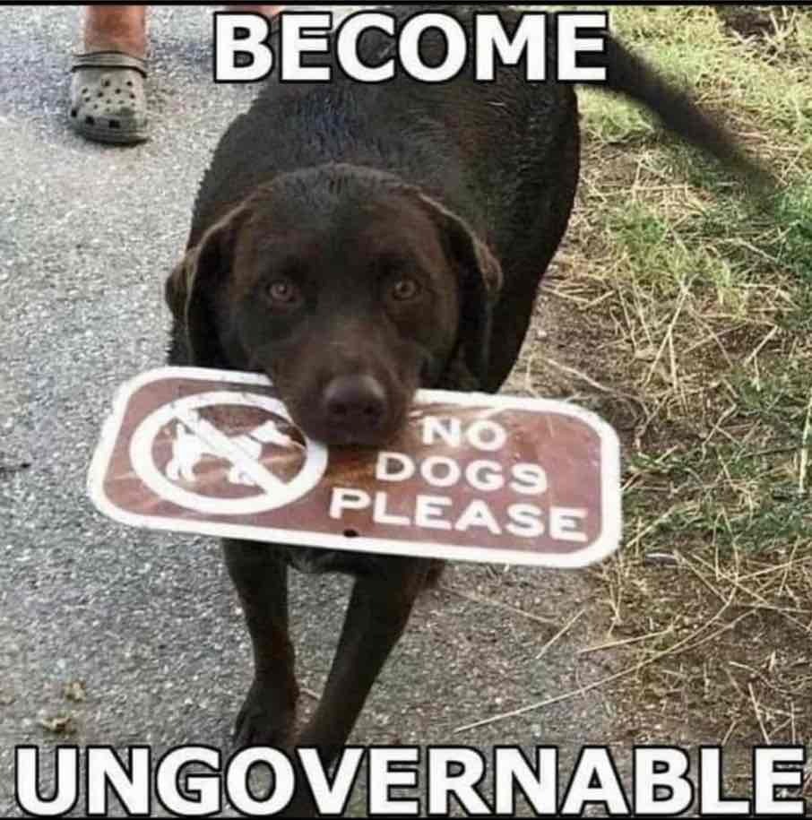 dog holding metal sign in mouth that reads no dogs allowed with dog crossed out icon