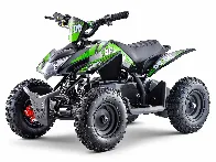 Thoughts about electric quad bikes for 'ruralism'?