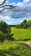 Walking a small path passing a chapel [OC]