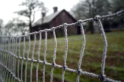 Freezing temperatures could be coming for Portland this weekend