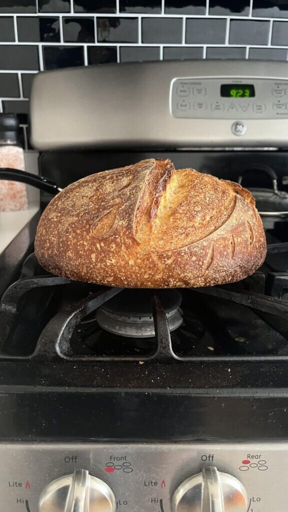 please roast my sourdough / provide help with rise!!