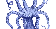 blue octopus