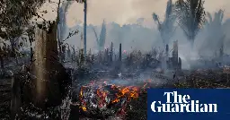 Destruction of world’s pristine rainforests soared in 2022 despite Cop26 pledge