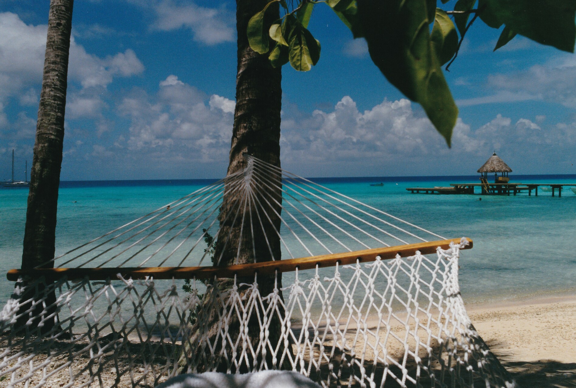 Vue sur la mer bleue turquoise avec au premier plan un hamac attaché à un cocotier, en Polynésie française