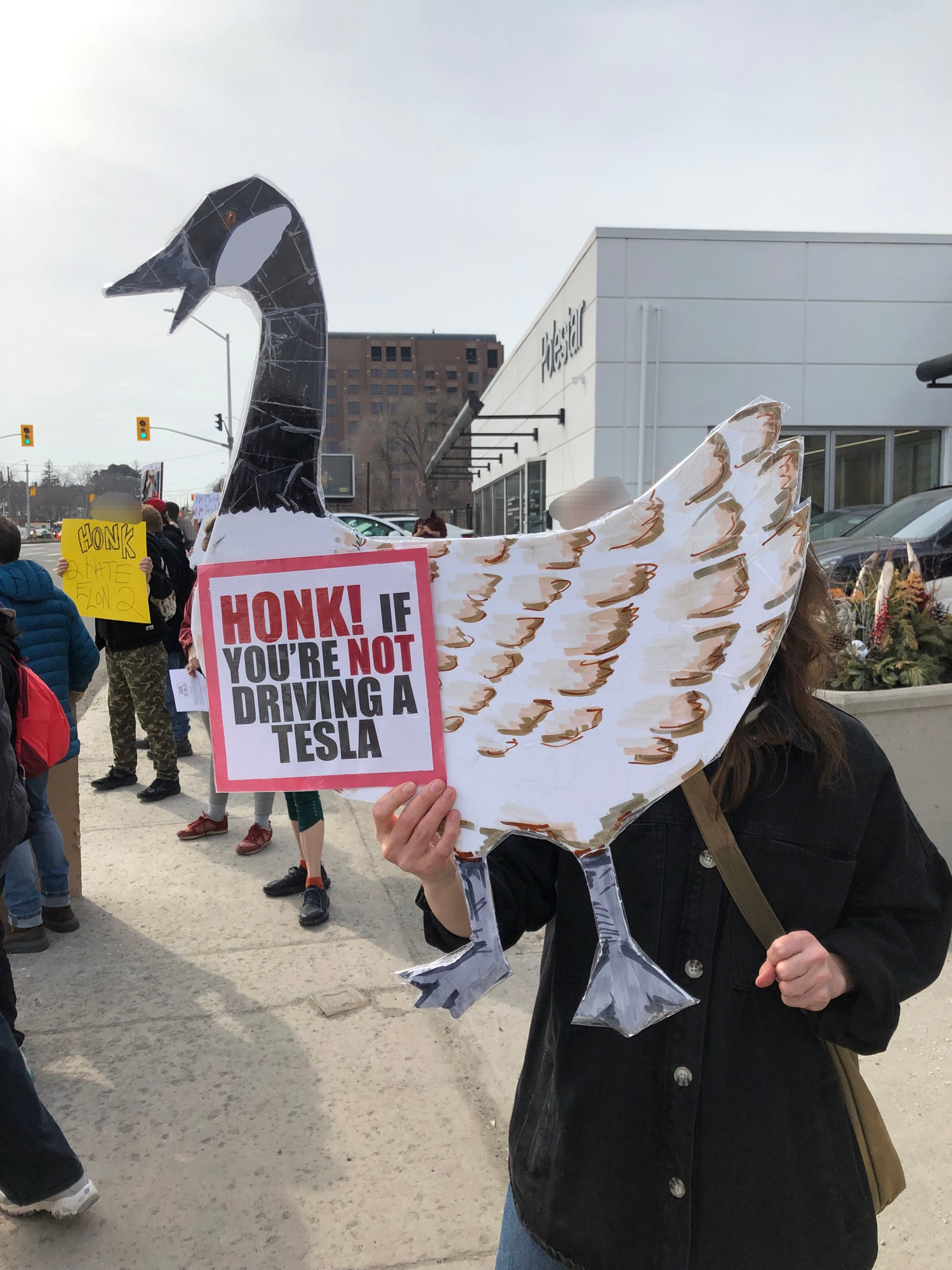 detailed protest sign of a Canada Goose "honk! if you're not driving a Tesla"