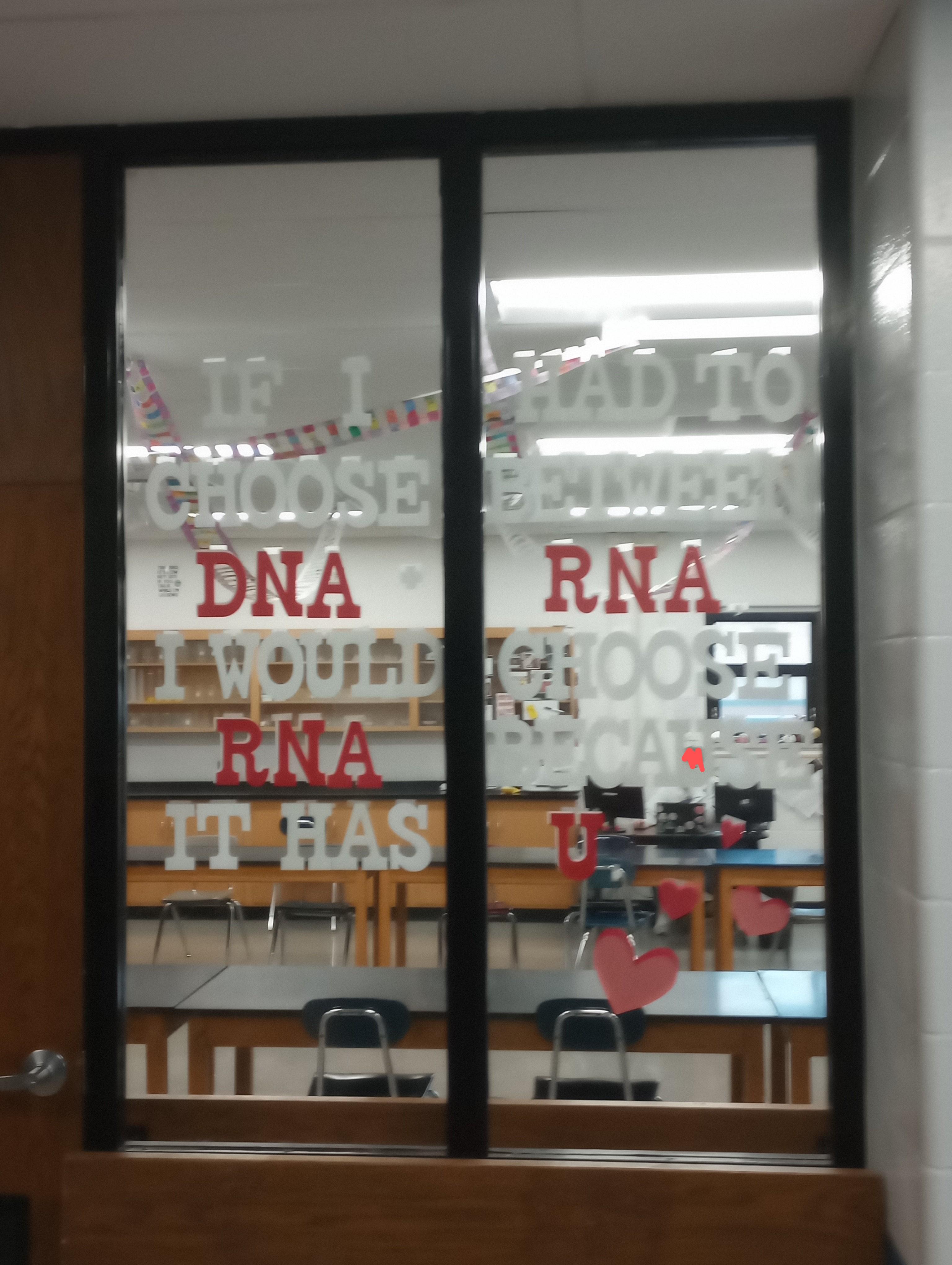 If I choose DNA I would RNA it has had to between RNA choose because U