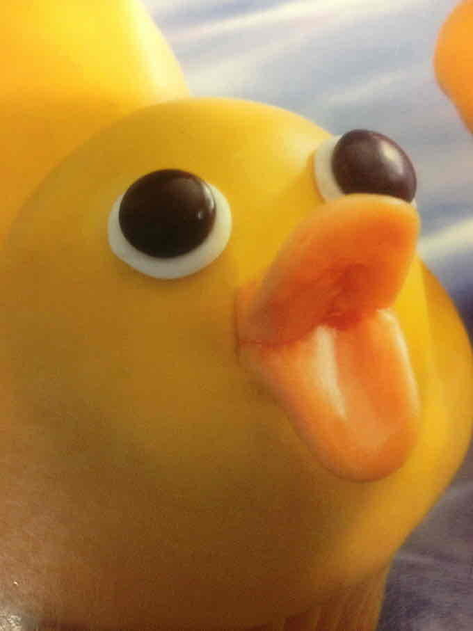 Close up on a rubber duck's face with its mouth open