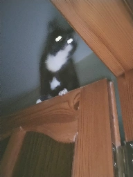 the background blur
