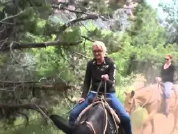 A lovely horseback ride