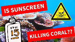 Is Your Sunscreen Killing Coral Reefs? The Science | Lab Muffin Beauty Science