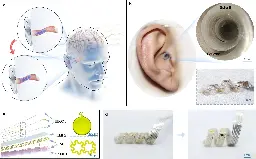 Spiral brain-computer interface slips into ear canal with no loss of hearing