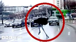 South Korea: Escaped ostrich runs loose on roads