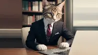 Businessman Cat