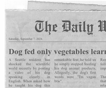 Am I too late for the vegan pet food debate?