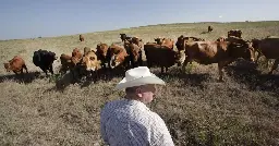 This land isn’t for you or me. It’s for the meat industry.