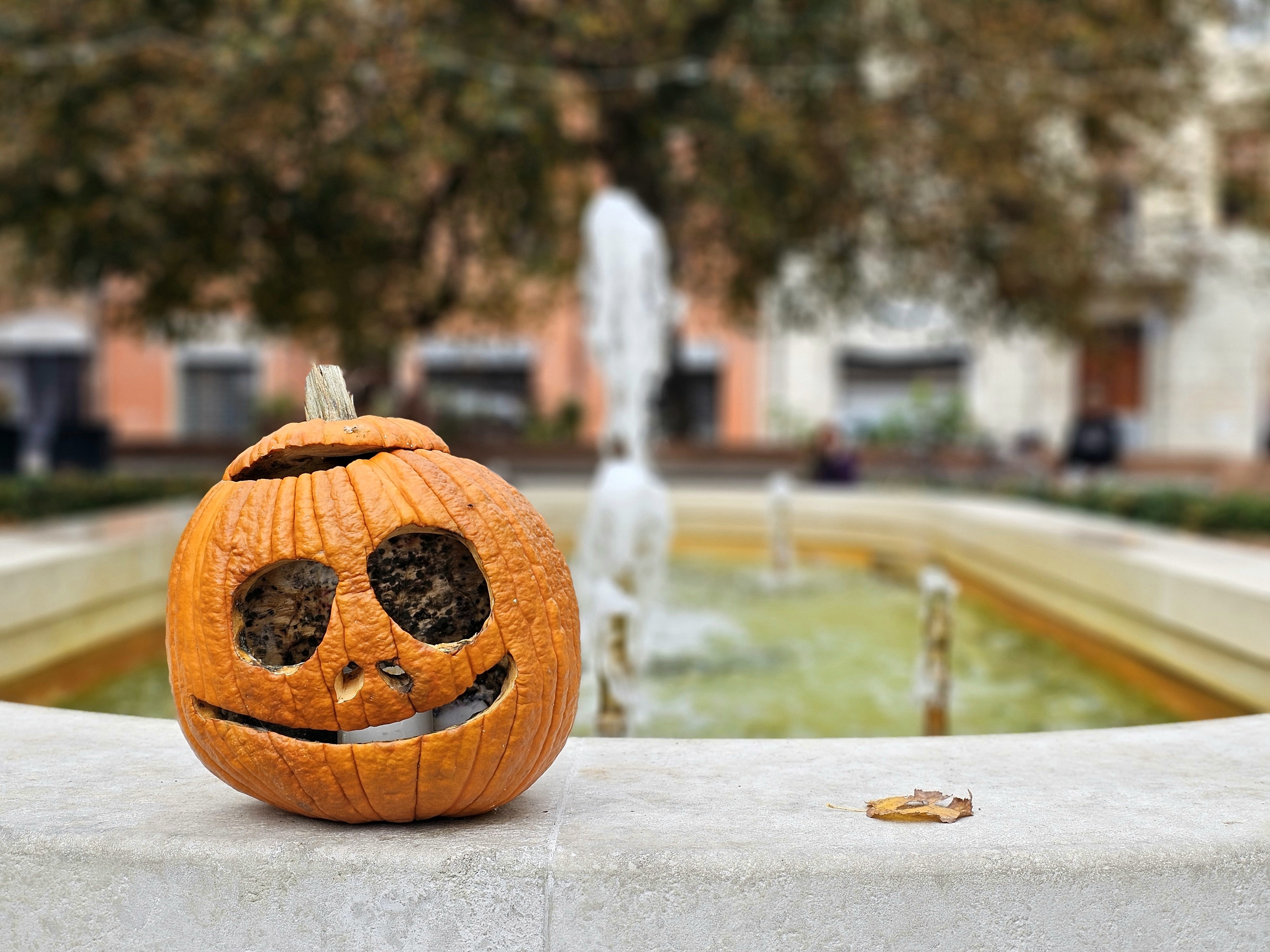 A carved pumpkin with a smiling face is placed on the edge of a fountain. In the background, there's a blurred urban park scene with trees, a statue, and buildings. A fallen leaf rests near the pumpkin on the fountain's edge.