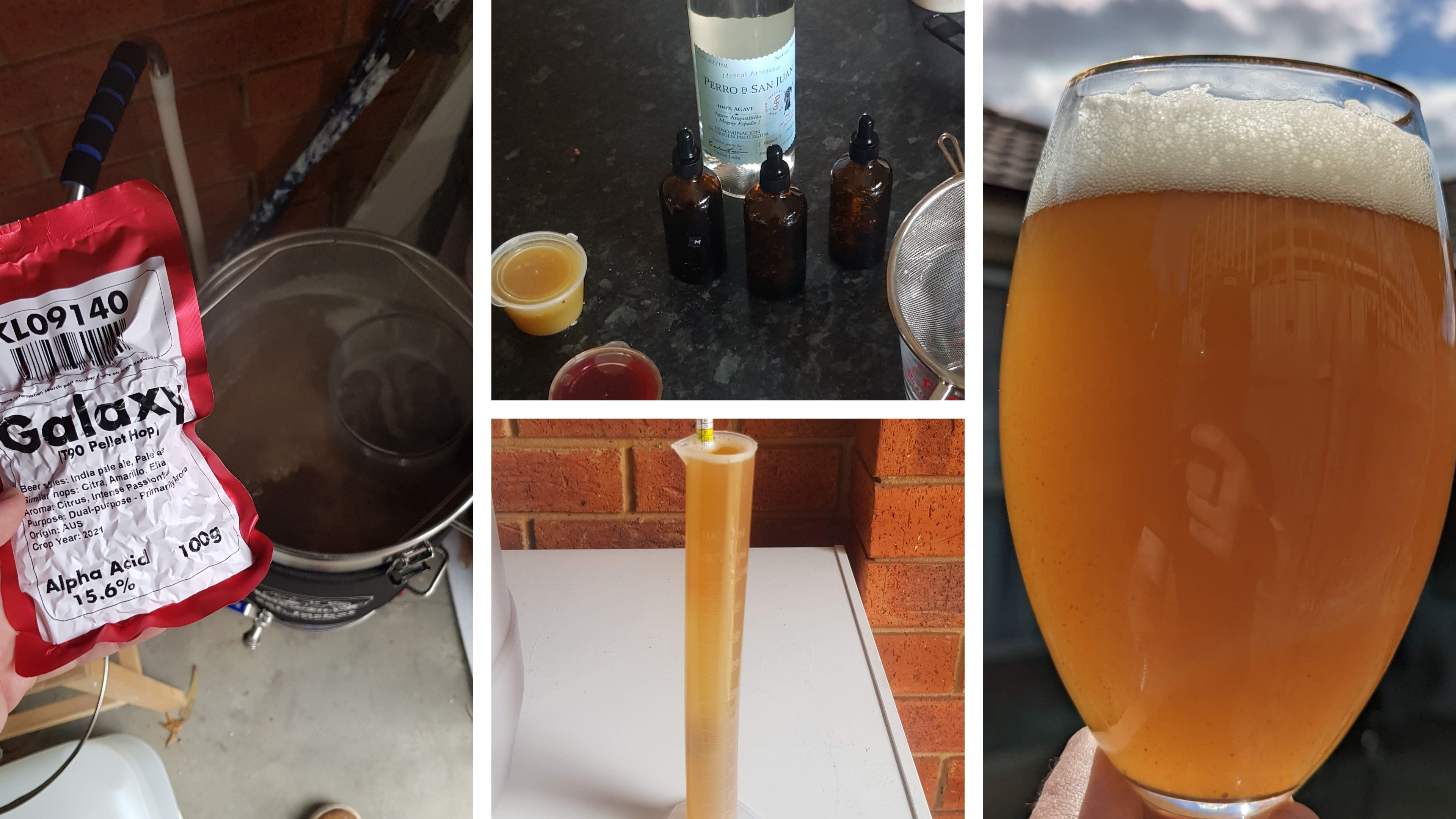 Extra pale ale. Hopped with galaxy. Experimented with tinctures.