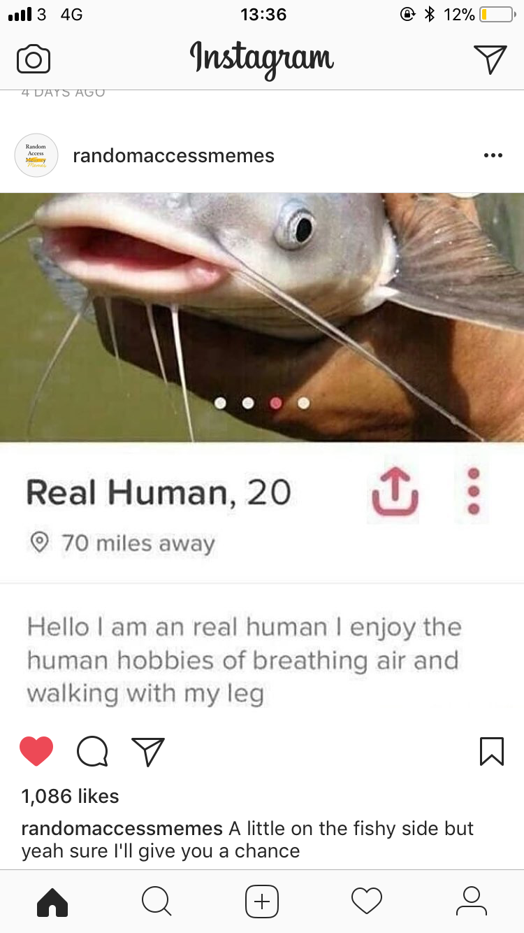 fish tinder profile meme