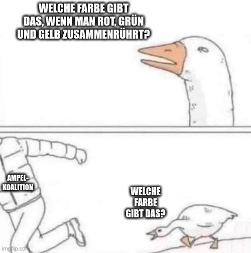 Welche Farbe gibt das, wenn man Rot, Grün und Gelb zusammenrührt? Welche Farbe? (Meme - Gans verfolgt Ampel-Koalition)