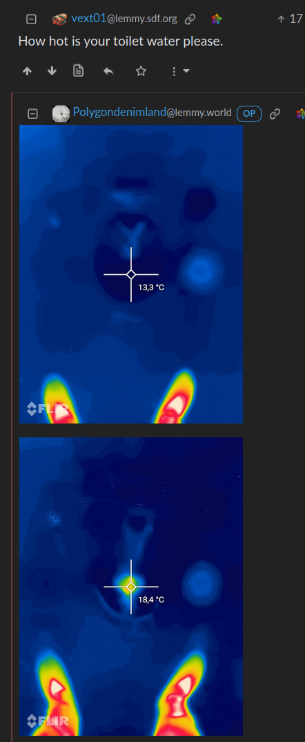 Screenshot from lemmy. "How hot is your water toilet please." The OP responds with two images before and after taking a piss in infrared