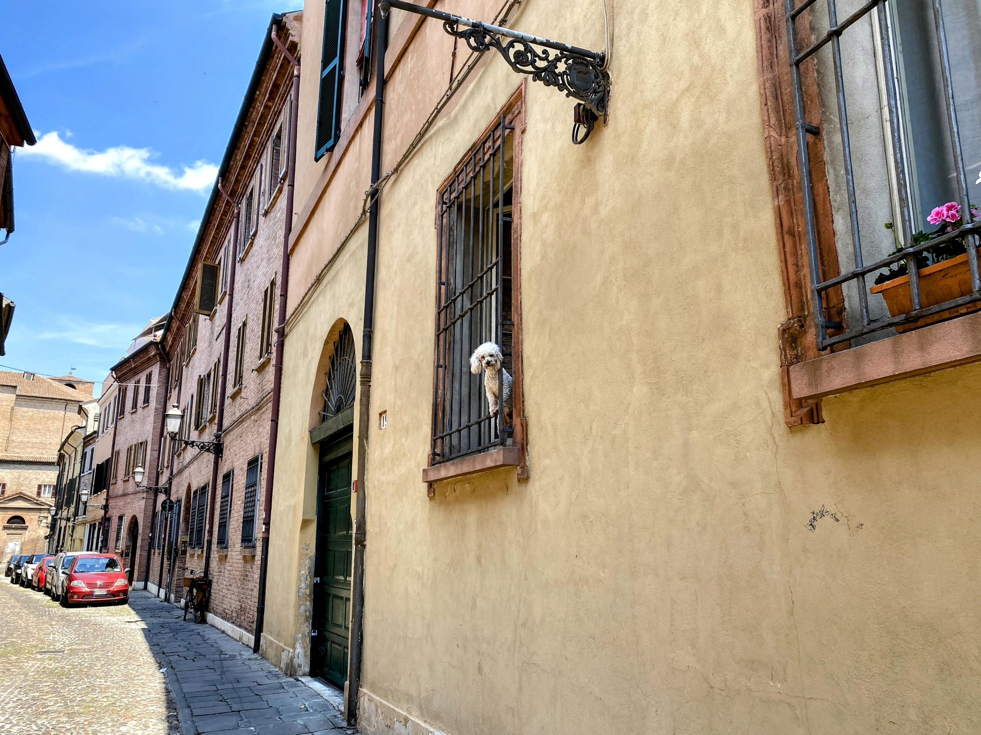 A quaint, narrow cobblestone street lined with traditional European-style buildings. One building has a warm yellow facade, and a dog is poking its head out from a wrought-iron window balcony, looking down the street. There is a row of parked cars on the side of the street, and a single red car stands out among them. A vintage-looking street lamp is attached to the building with the dog. The sky is blue with some scattered clouds, a sunny day.