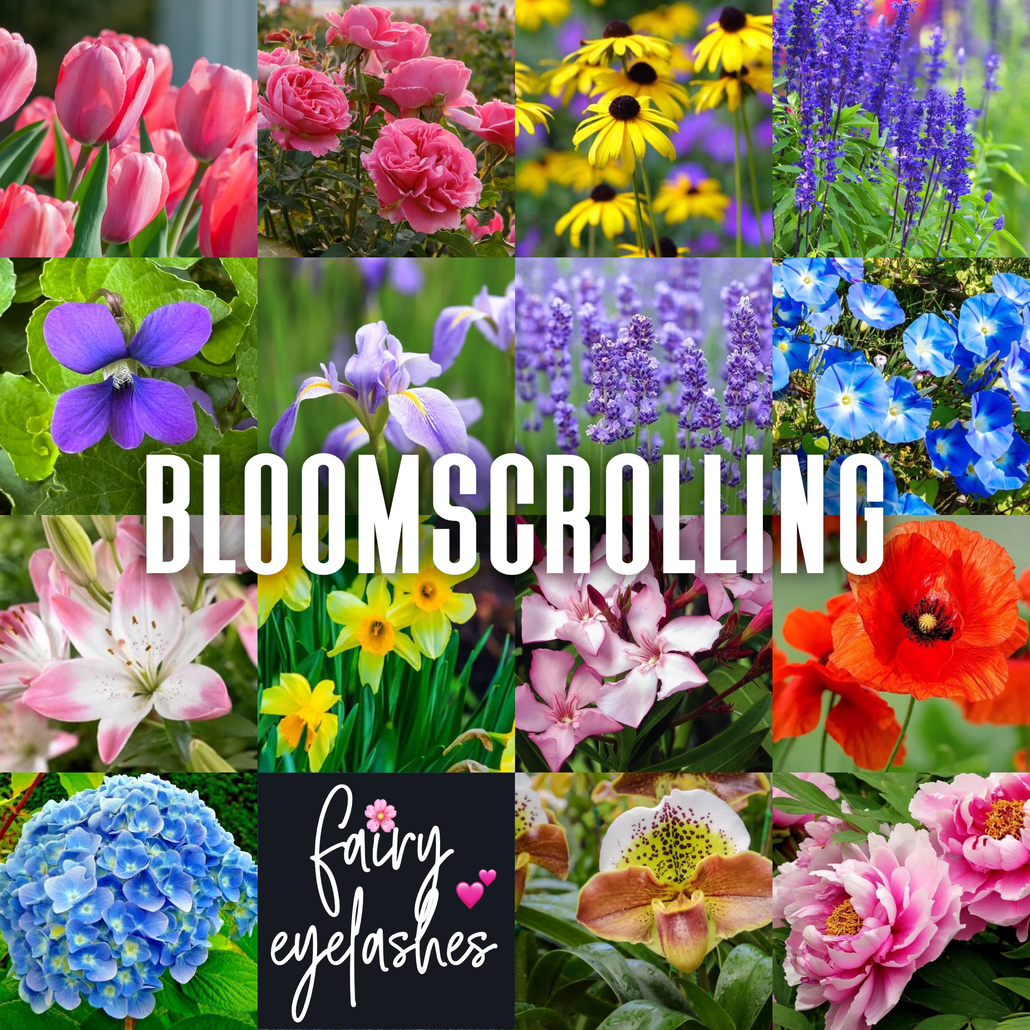 album art for the song #Bloomscrolling by fairy eyelashes