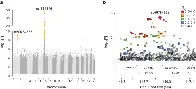 Africa-specific human genetic variation near CHD1L associates with HIV-1 load - Nature