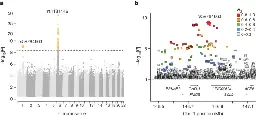 Africa-specific human genetic variation near CHD1L associates with HIV-1 load - Nature