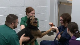 Pierpont vet tech students hold pet washing fundraiser in Clarksburg