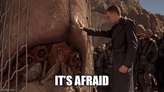 It's afraid!