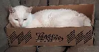 She just loves that Long Live box.