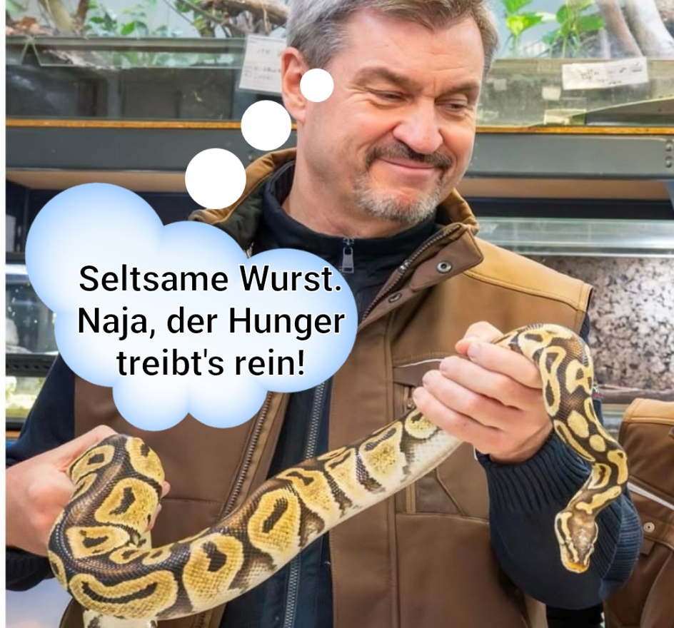 Bild von Söder mit Schlange editiert. Gedankenblase hinzugefügt: "Seltsame Wurst. Naja, der Hunger treibt's rein!"