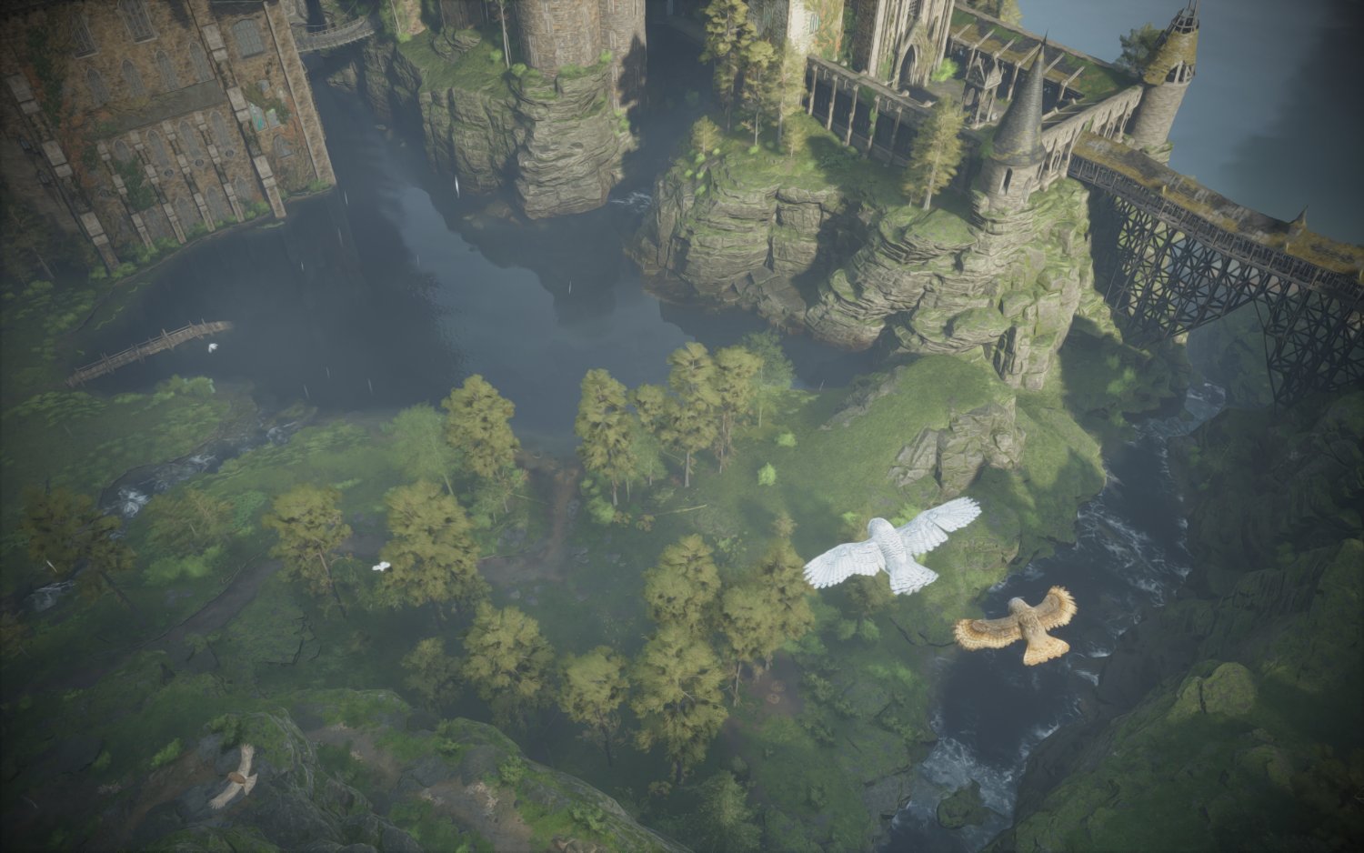 A screenshot of Hogwarts Legacy. Two howls are flying from the bottom of the screen to the top. There is also a river and a pond.