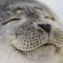 seal_of_approval