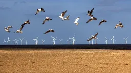 These tricks make wind farms more bird-friendly
