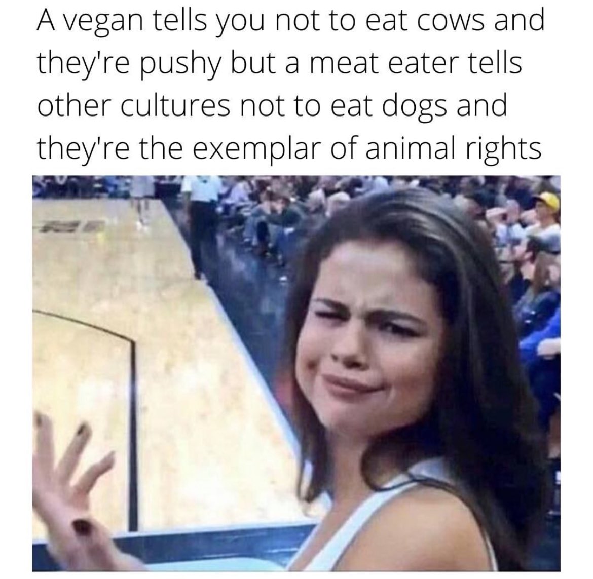 Woman looks confused in the bleachers during a basketball game “A vegan tells you not to eat cows and they're pushy but a meat eater tells other cultures not to eat dogs and they're the exemplar of animal rights”