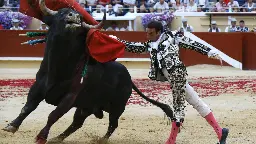 French lawmakers lock horns over bullfighting ban for children