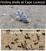 Shells