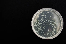 Drug Decelerates Bacterial Race to Antibiotic Resistance - Lemmy