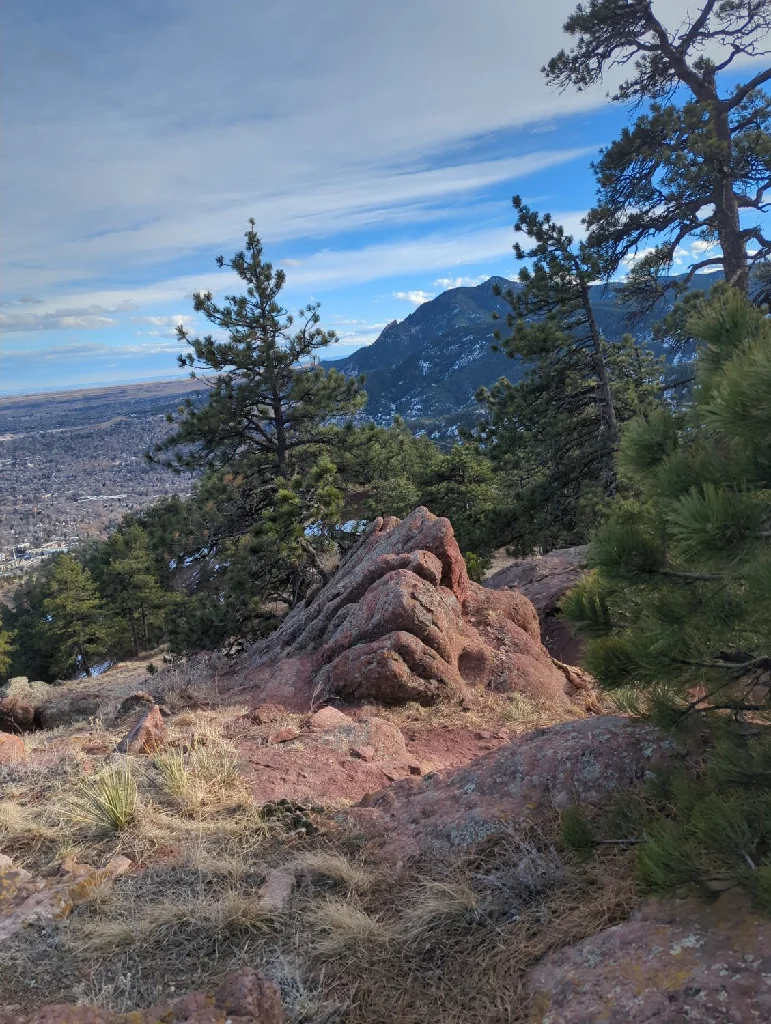 Une photo représentant un point surélevé sur une montagne, il fait assez chaud mais la neige et les cactus cohabitent