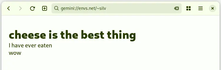 &quot;cheese is the best thing I have ever eaten wow&quot;, transcribed from gemini://envs.net/~silv