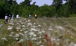 Cyclotourisme - "C'est juste énorme !" : dans le Centre-Val de Loire, retombées économiques et fréquentation en hausse de La Loire à vélo