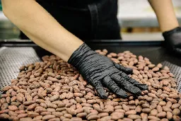 Cocoa Is More Expensive Than Copper as It Tops $9,000
